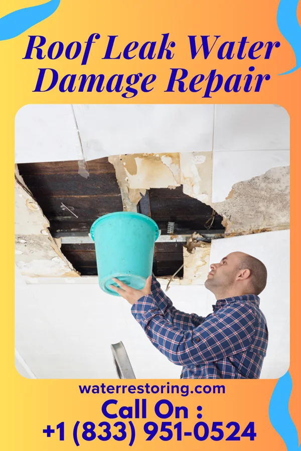 Roof Leak Water Damage Repair in Dalton, MN