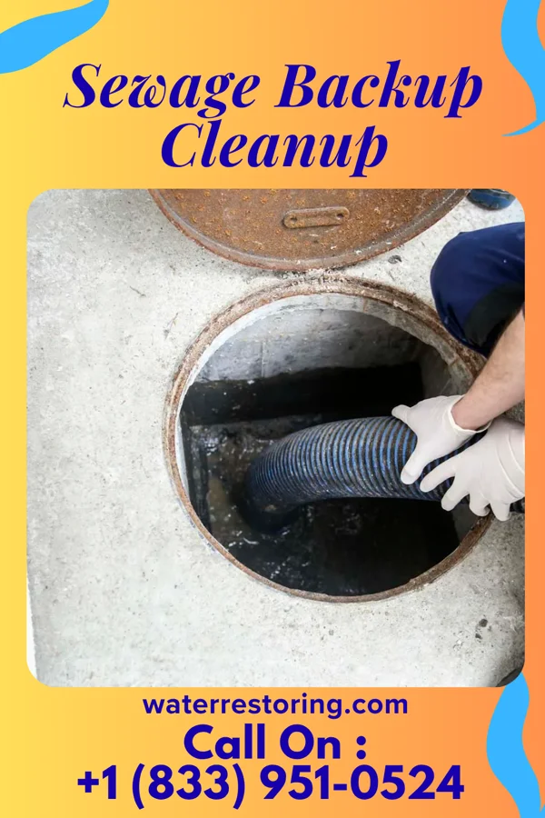 Sewage Backup Cleanup in Dalton, MN