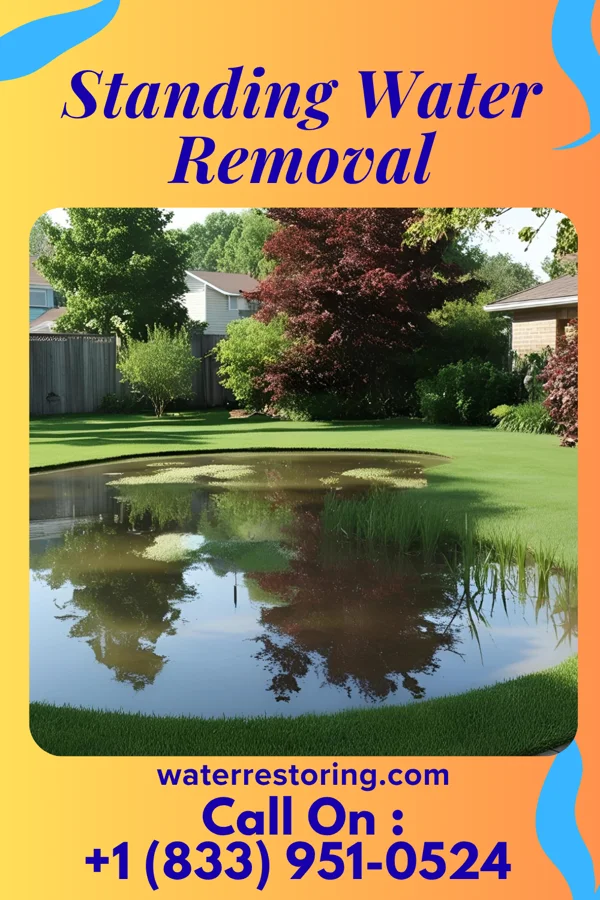 Standing Water Removal in Dalton, MN
